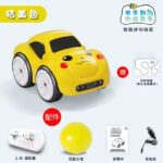 RC Car (3)
