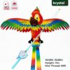 Cartoon Parrot
