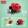 Ladybug